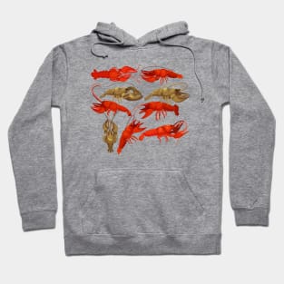 Lobster collection Hoodie